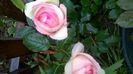 WP_20160613_16_28_20_Pro