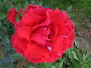 DSC03849