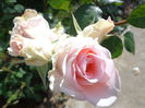 DSC03857