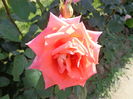 DSC03862