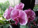20160616_071749