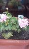 20160615_191652