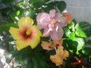 20160616_094346