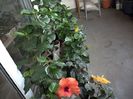 WIN_20160616_091617