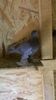 WP_20160614_050