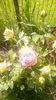 IMG_20160616_155051
