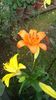 20160616_175421