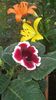 20160616_175435