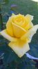 WP_20160616_16_17_35_Pro