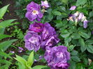 DSC07635