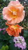 20160614_104134