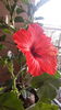 20160613_070937