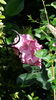 20160614_105656
