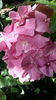 20160614_104708