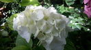 20160614_104653