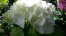 20160614_104644