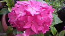 20160614_104234