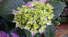 20160614_104208