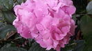 20160614_104112