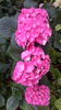 20160614_104053