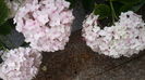20160614_104035
