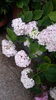 20160614_104027