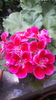 20160615_175426