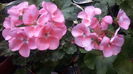 20160615_175407