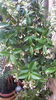 20160614_104248