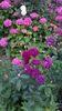 WP_20160613_016