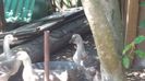 20160616_120655