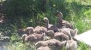 20160616_114902(0)