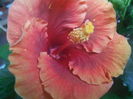 DSCN0862