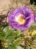 IMG_20160523_161920