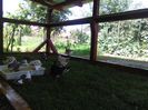 IMG_20160617_155952