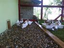 IMG_20160617_155956