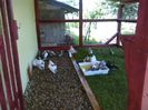 IMG_20160617_160011