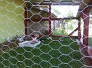 IMG_20160617_160025