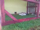 IMG_20160617_160033