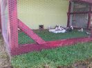 IMG_20160617_160035