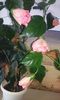 20160617_162256