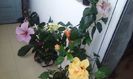 20160617_162035