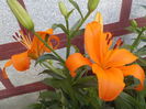 DSCN0162[1]