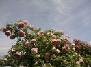 IMG_20160601_114709