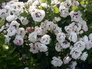 IMG_20160608_185125