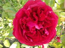 IMG_20160610_072913
