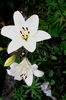 IMG_20160618_072313