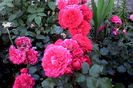 IMG_20160618_072201