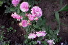 IMG_20160618_070315