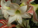 DSCN0194[1]